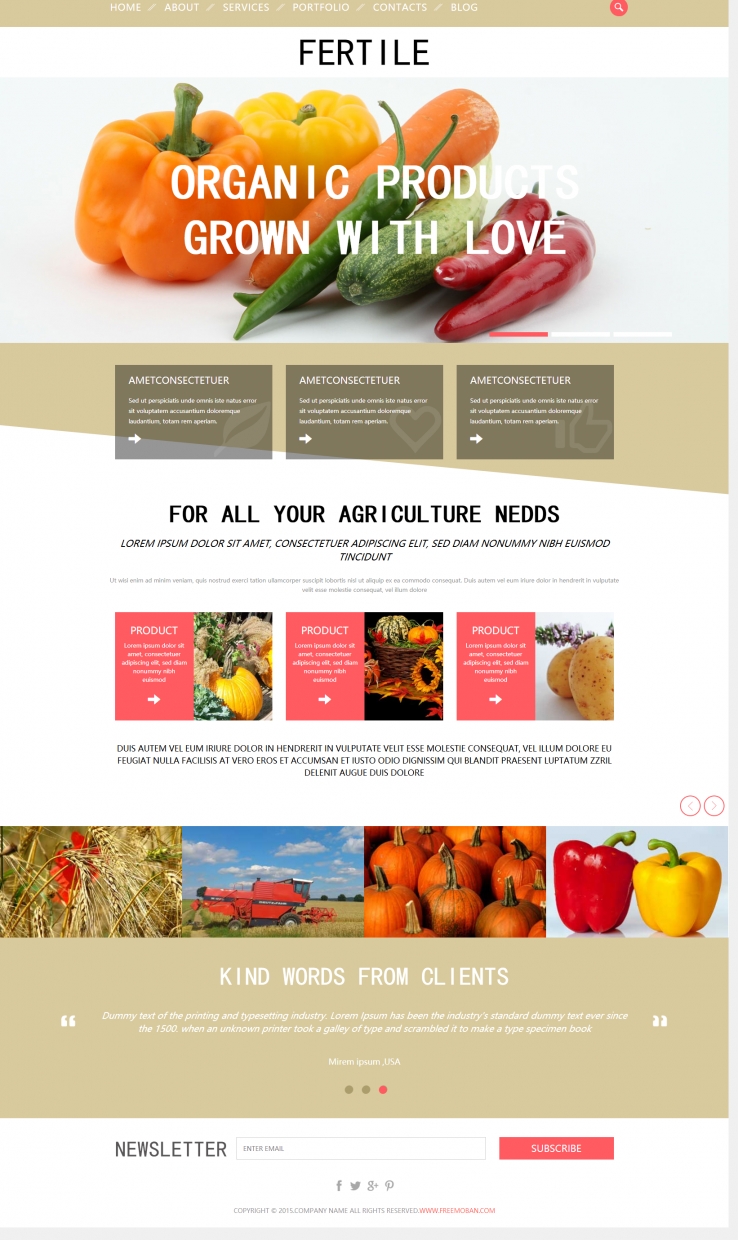 黄色大气风格的环保有机蔬菜网站模板下载