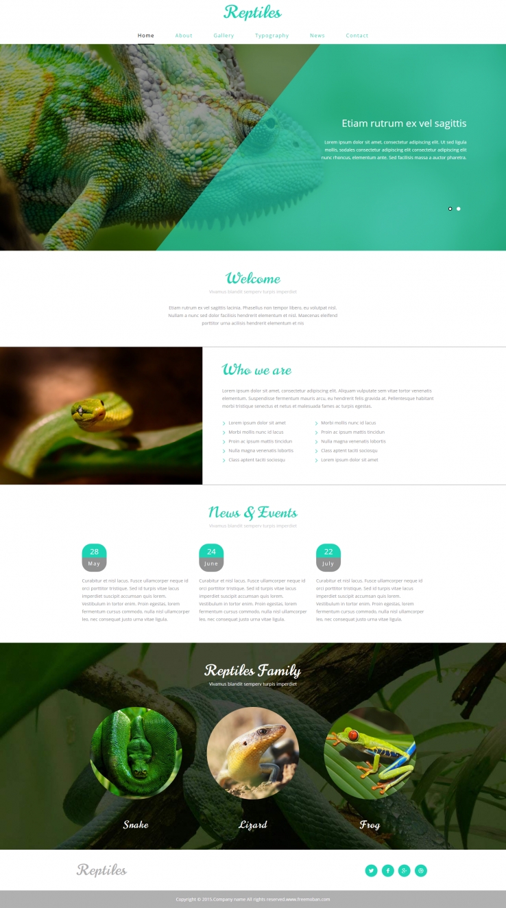 绿色简洁风格的软体动物介绍网站模板下载