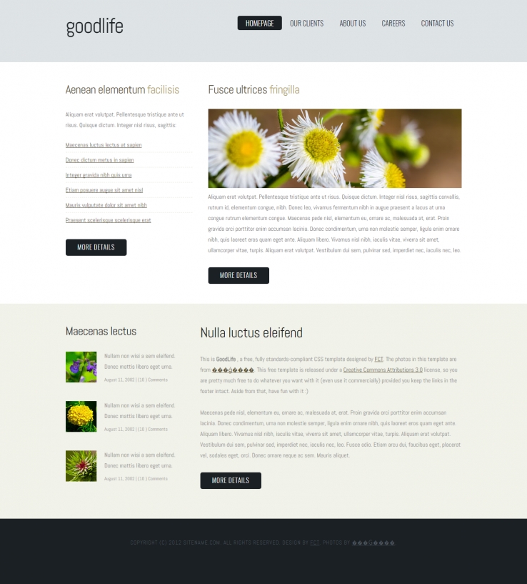 迷人简洁清新的小花企业网站模板下载