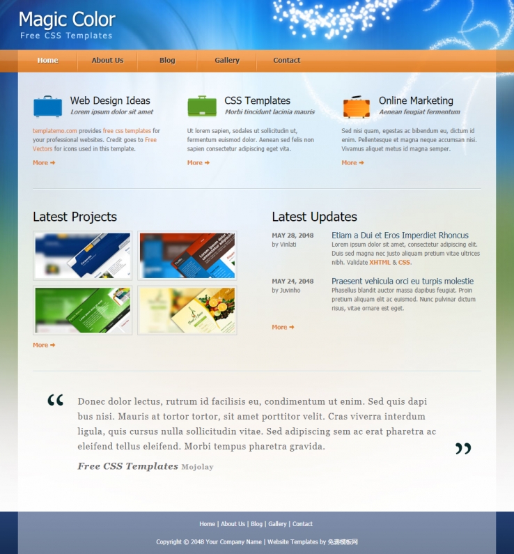简洁精致效果的网站设计案例作品整站模板下载