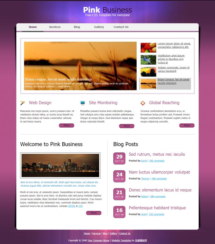 紫色背景的风景相册博客主题网站模板下载