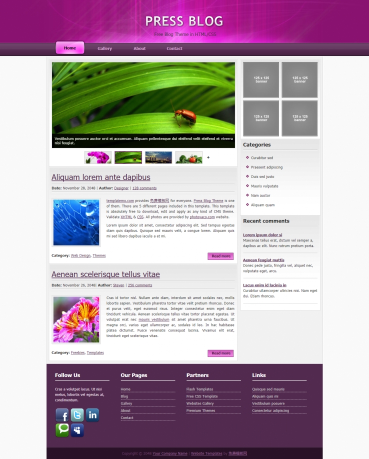 紫色自然风景的博客主题网站模板下载