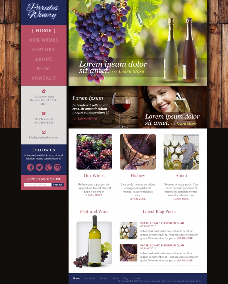简洁绚丽效果的葡萄酒起源网站模板下载