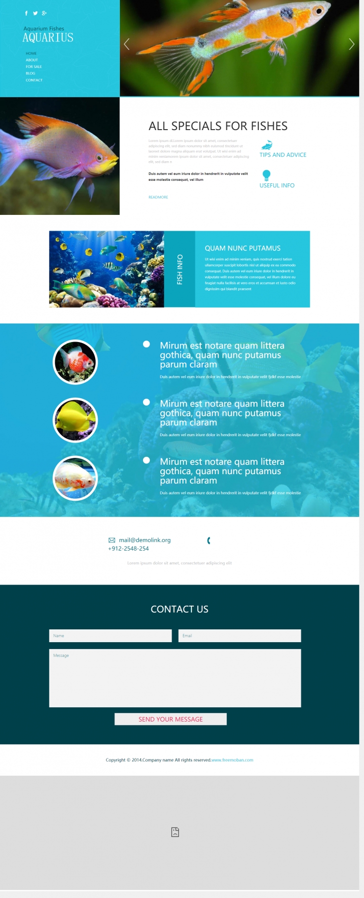 海底世界响应式的动物企业网站模板下载
