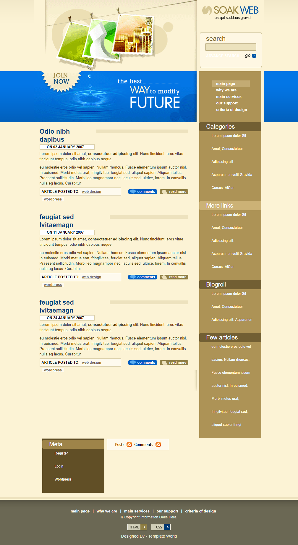 精致棕色效果的相册博客网页模板下载