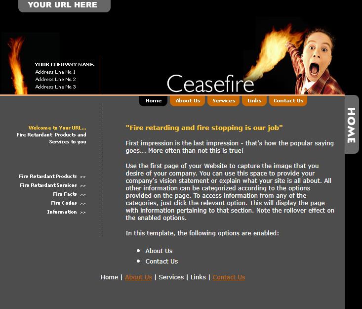 橙色个性风格的企业网站模板下载