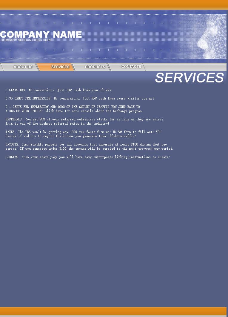 灰色实用风格的服务器企业网站模板
