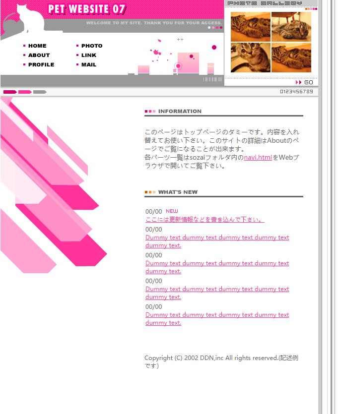粉色创意风格的猫咪宠物企业网站模板