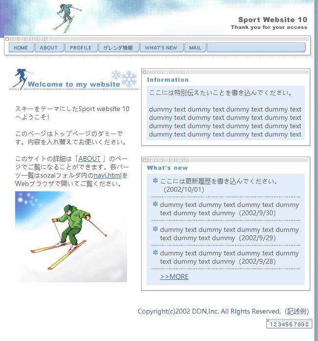 个性蓝色风格的滑雪运动企业网站模板