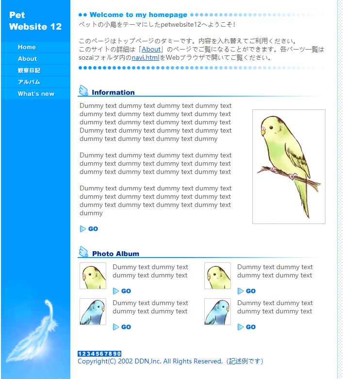 蓝色简洁风格的鸟类企业网站模板