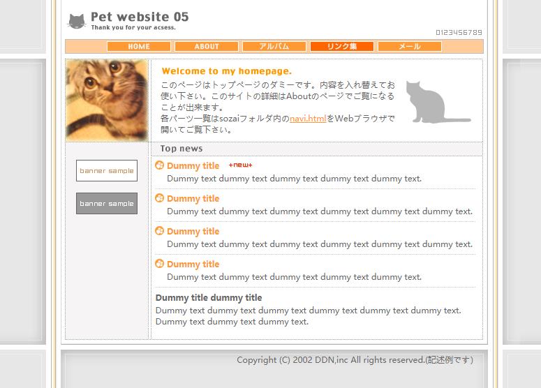 创意橙色风格的猫宠物企业网站模板