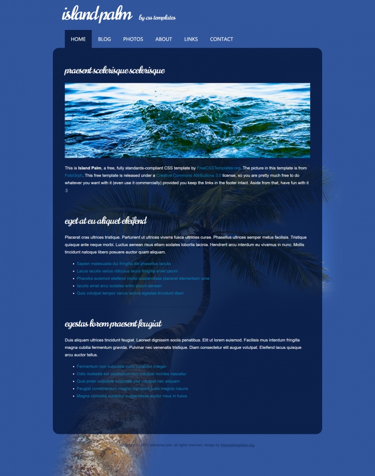 幽深蓝色调的棕榈岛旅游网页模板下载