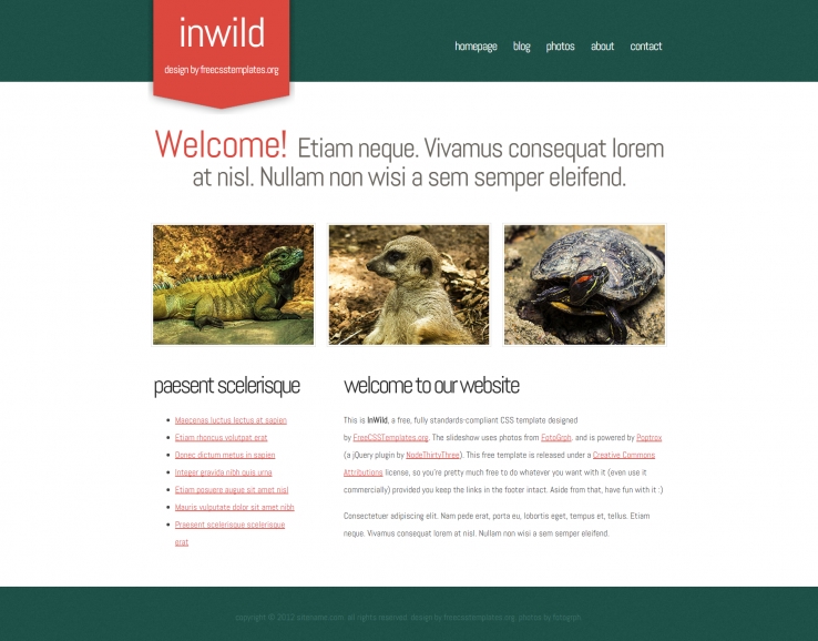 精致大气干净的野生动物企业网页模板下载