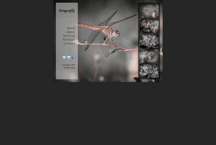 黑色简洁风格的蜻蜓图片展示源码下载