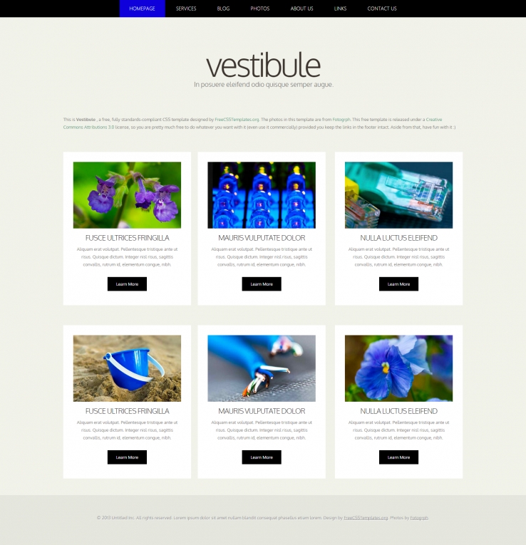 蓝色简洁风格的图文展示信息企业网站模板