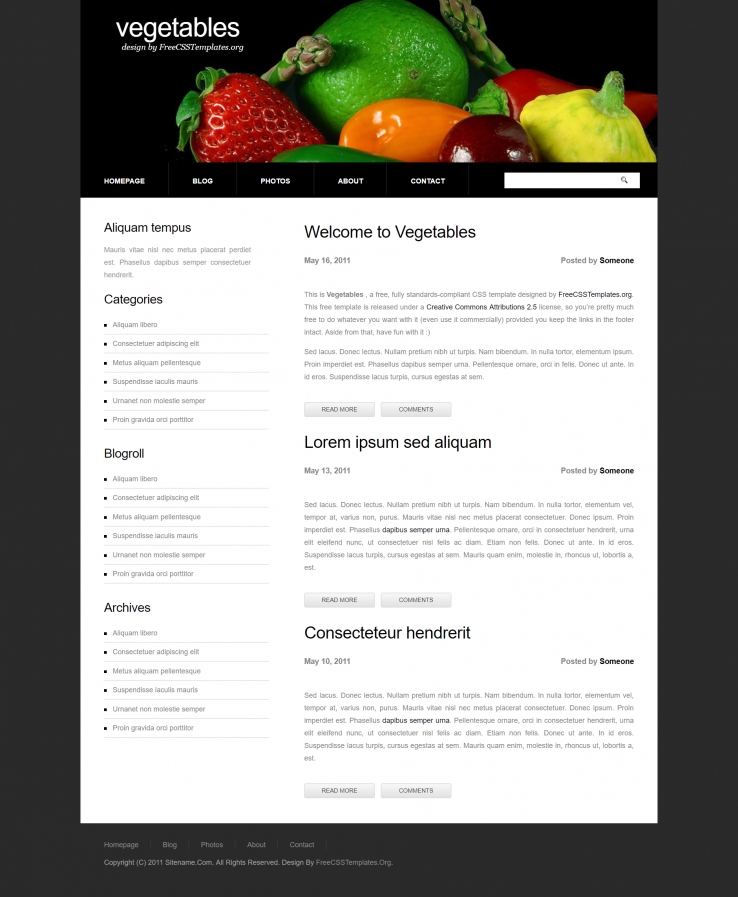 蔬菜黑色背景的博客网页模板下载