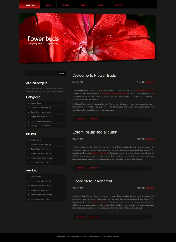 红色精致酷炫的花蕾企业网页模板下载