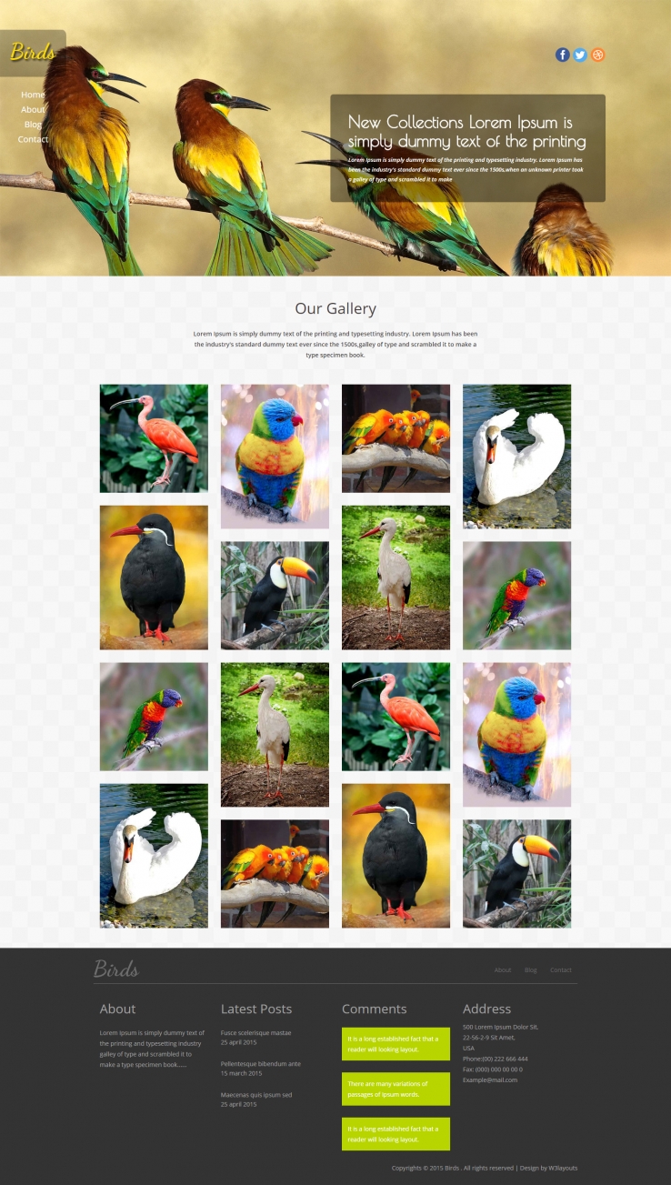 扁平黄色风格的鸟类动物图片源码下载