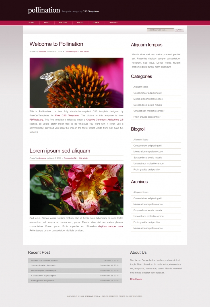 蜜蜂授粉背景的BLOG网页模板下载