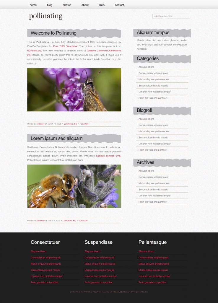 花粉采蜜简洁的BLOG网页模板下载