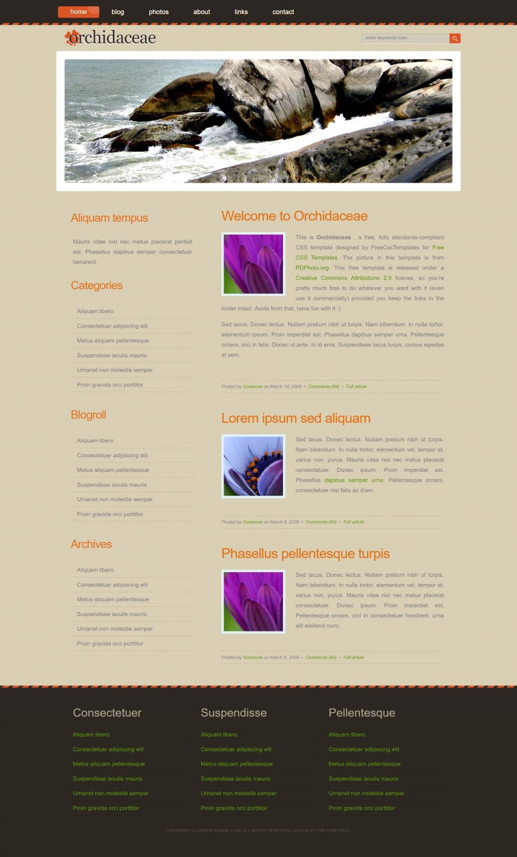 兰科岩石效果的BLOG网页模板下载