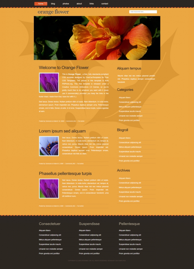 橘黄色鲜花的BLOG网页模板下载