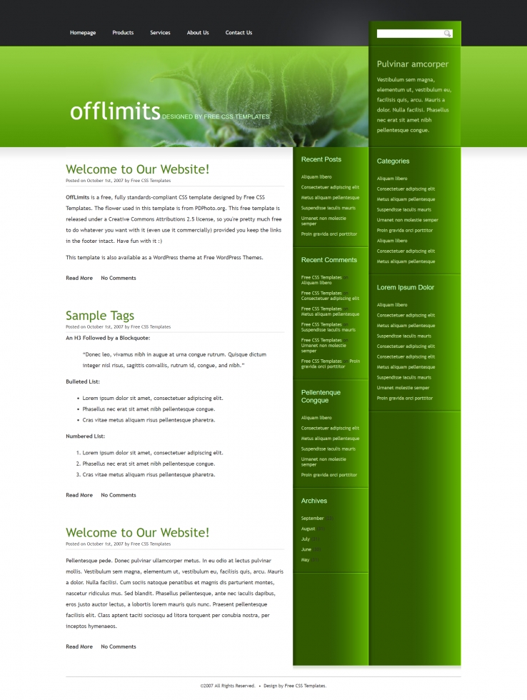 绿色植物效果的BLOG信息网页模板下载