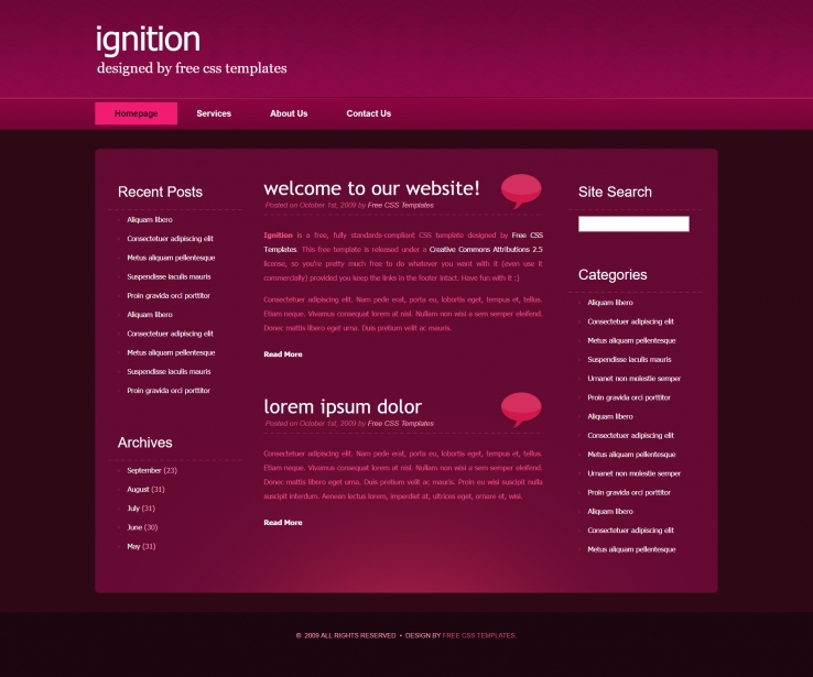 玫瑰色效果的BLOG信息网页模板下载