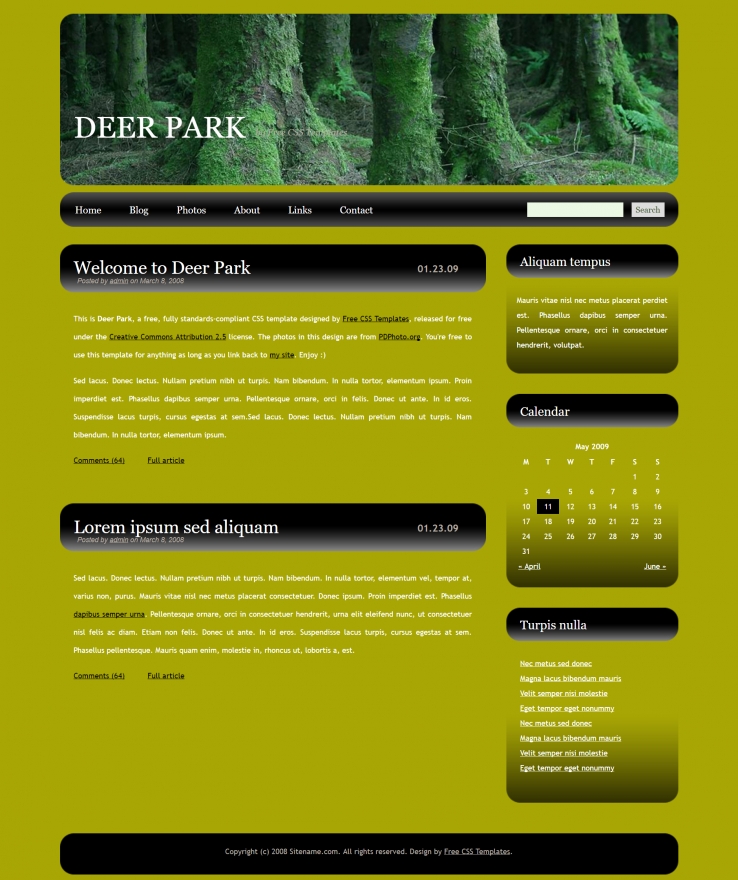 大气森林主题的BLOG网页模板下载