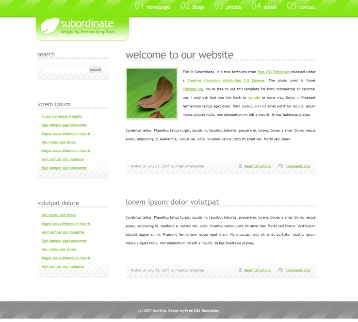 绿叶简单效果的BLOG网页模板下载