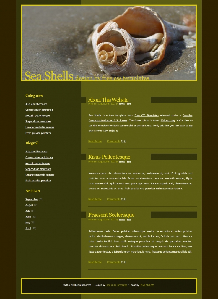 创意贝壳主题的BLOG网页模板下载