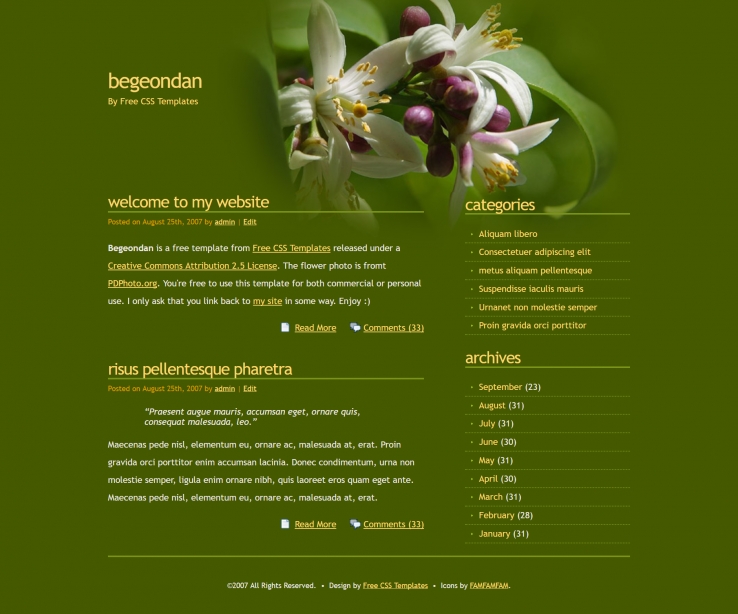 绿色花朵效果的BLOG网页模板下载