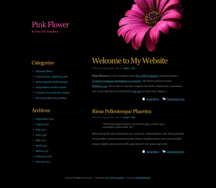 粉红花朵黑色的BLOG网页模板下载