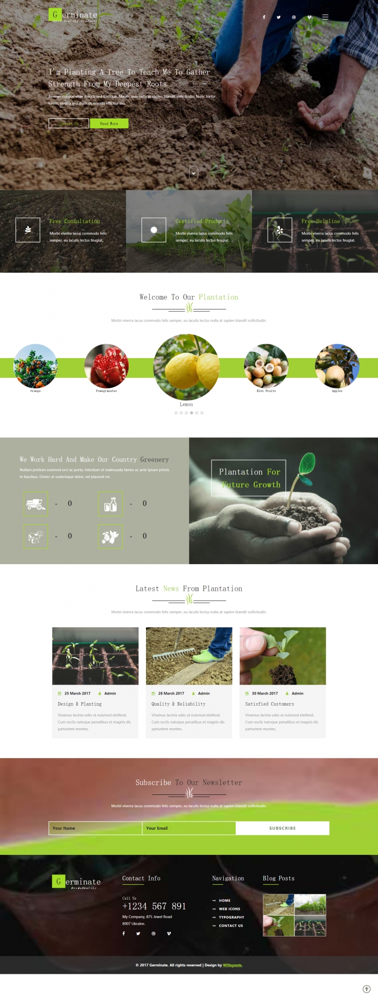 绿色简洁风格的果蔬种子种植整站网站源码下载