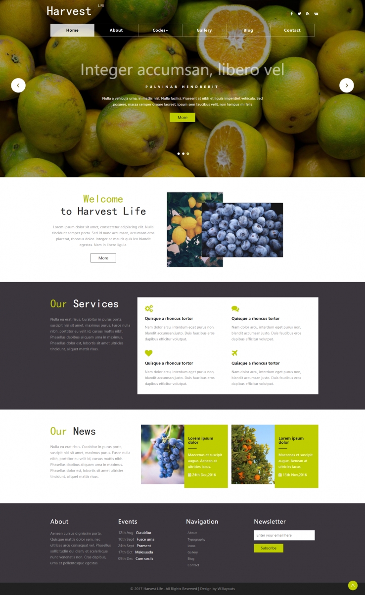 绿色简洁风格的新鲜水果生活整站网站源码下载