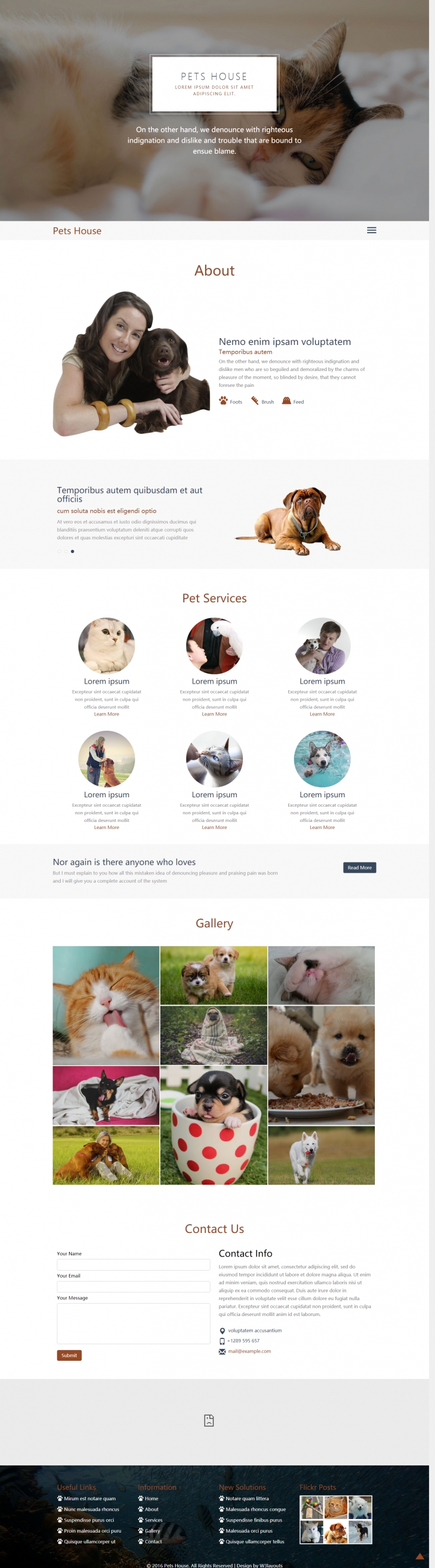白色简洁风格的宠物服务机构整站网站源码下载