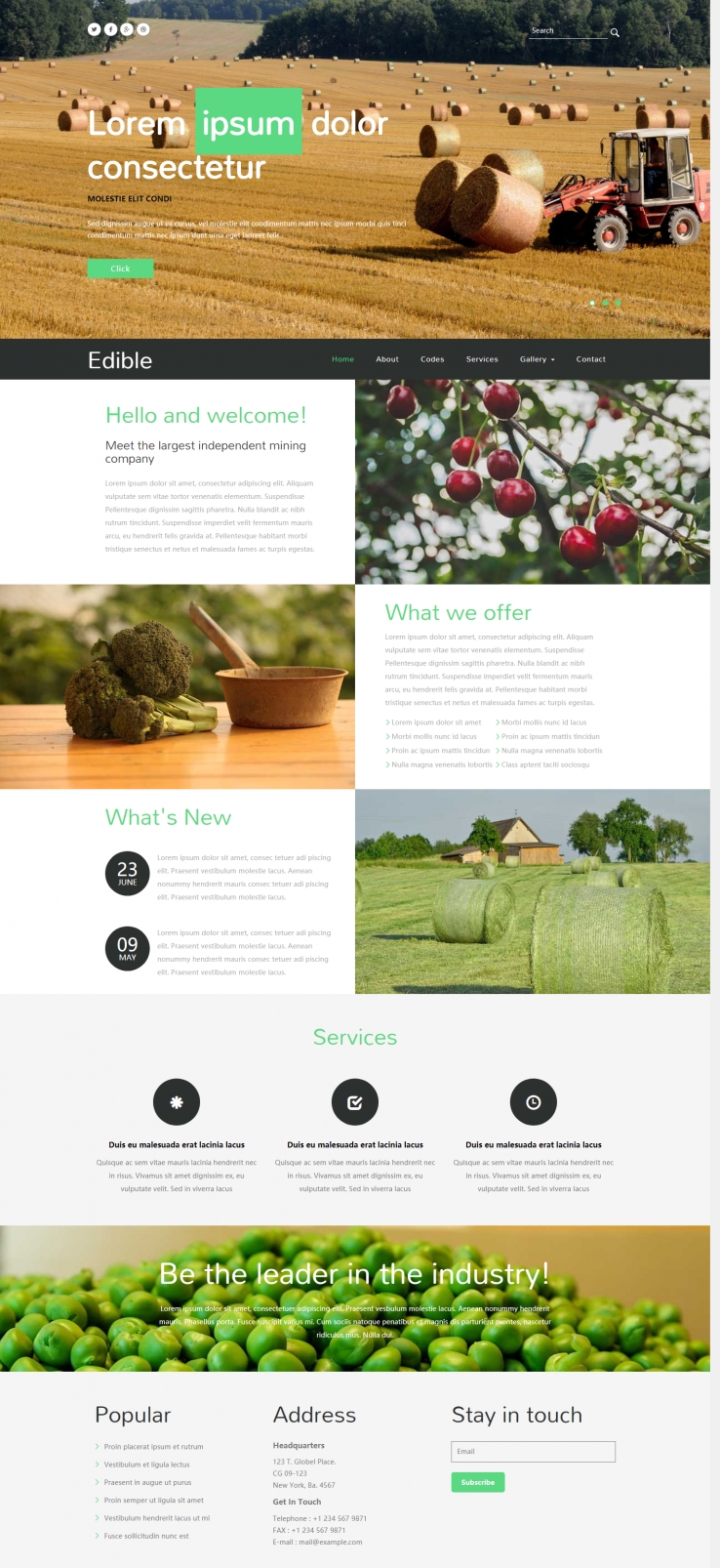 简洁绿色风格的生态农业果蔬整站网站源码下载