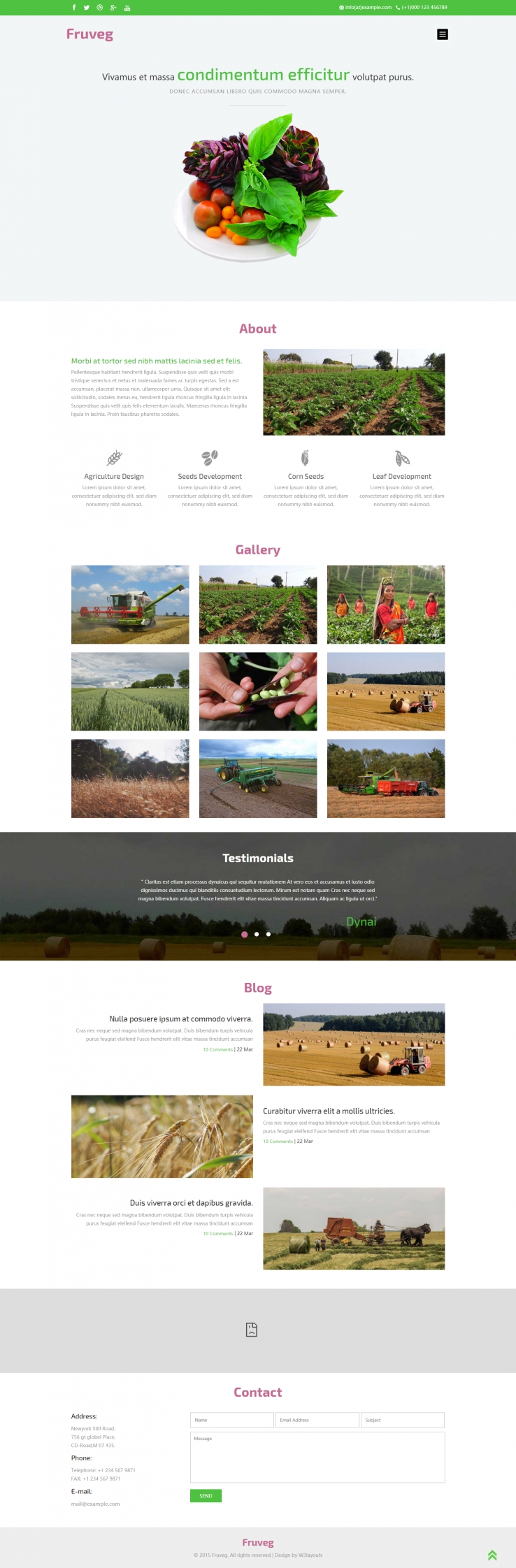 绿色简洁风格的果蔬农业展示整站网站源码下载