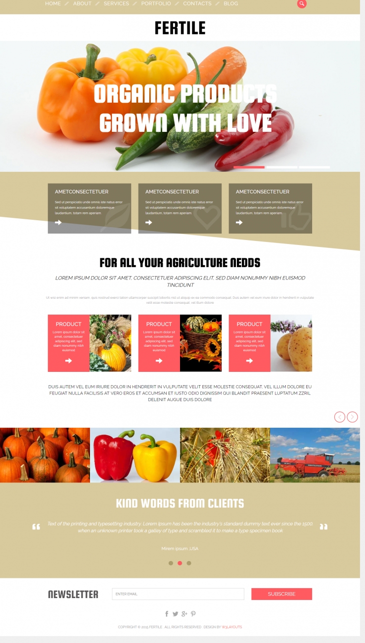 红色简洁风格的有机食物整站网站源码下载