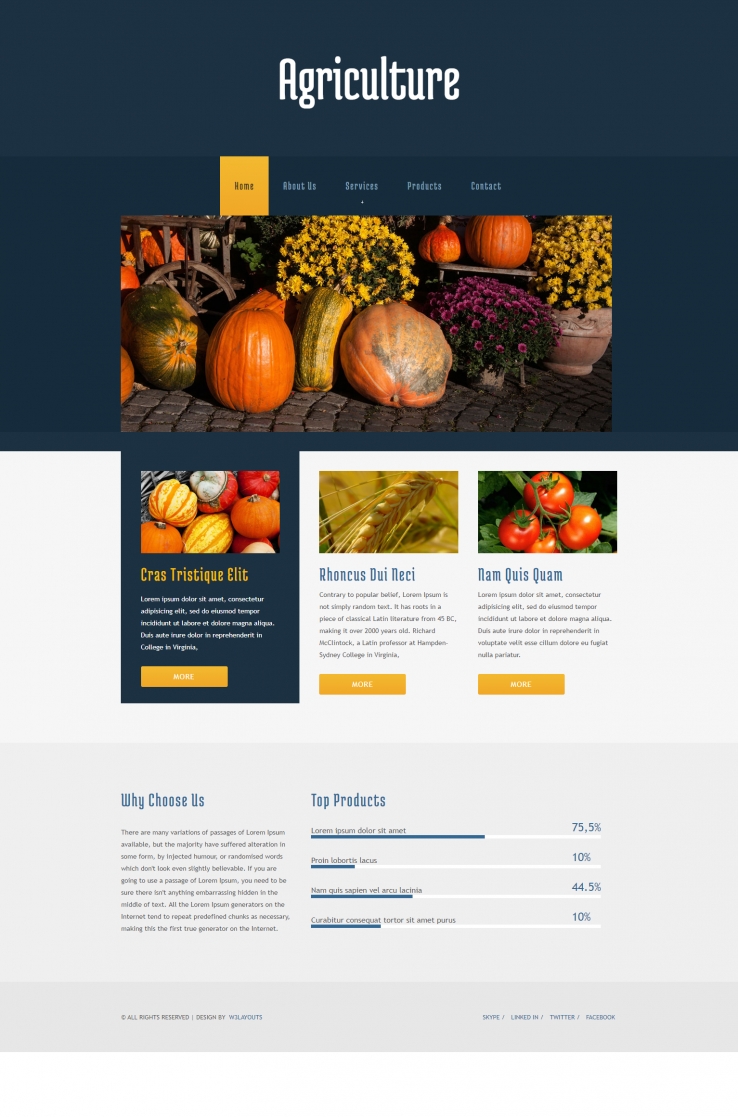 黄色简洁风格的农产品市场整站网站源码下载