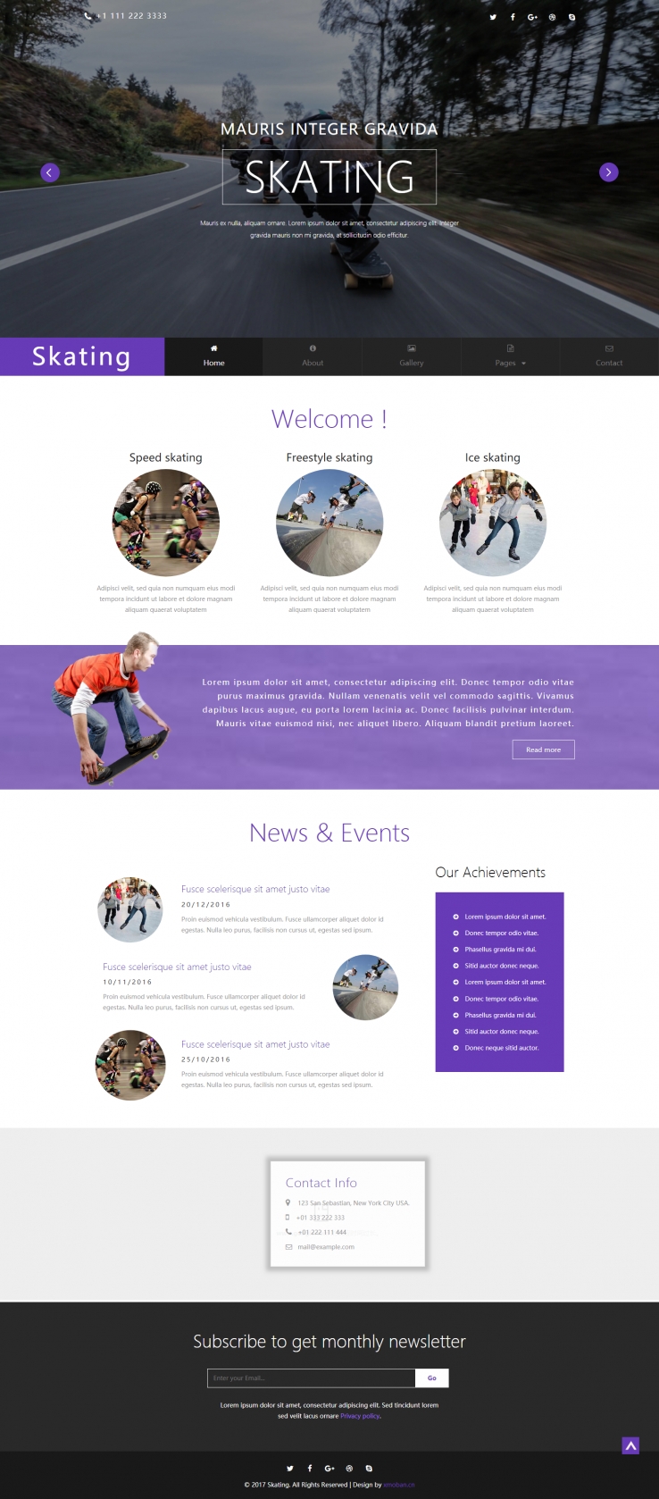 紫色简洁风格的滑冰运动企业网站源码下载