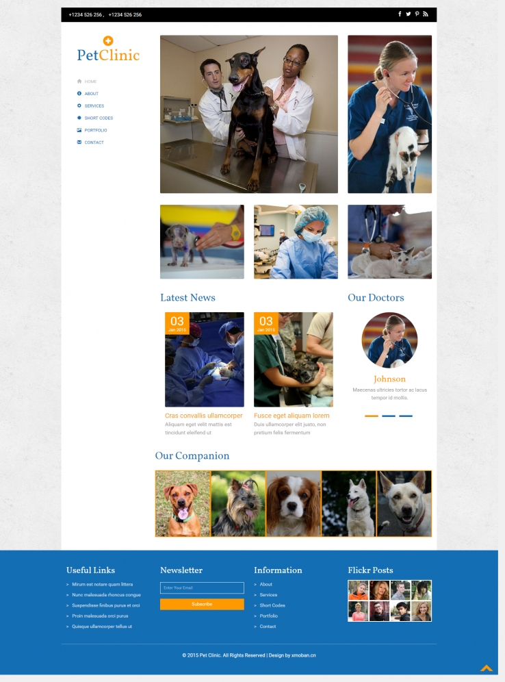 蓝色创意风格的宠物医疗企业网站源码下载