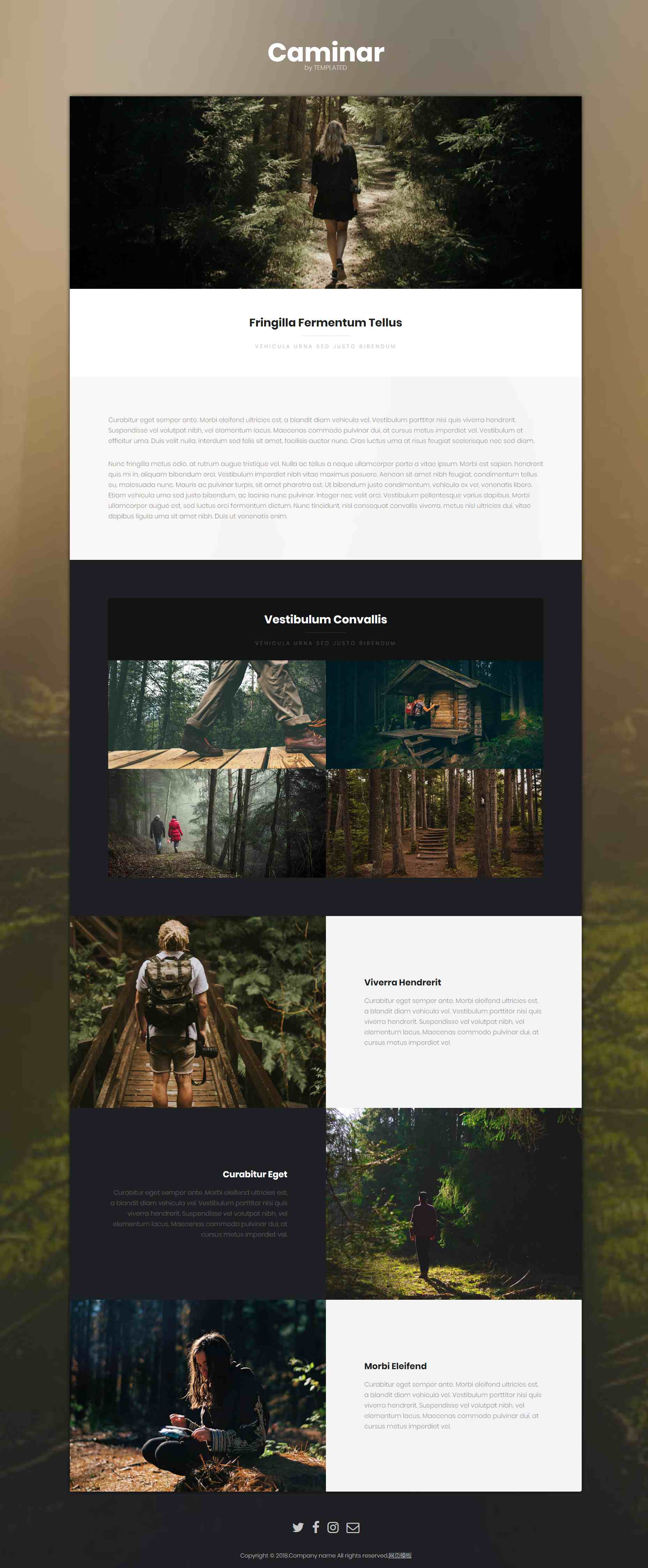 绿色简洁风格响应式丛林探险爱好者网页模板