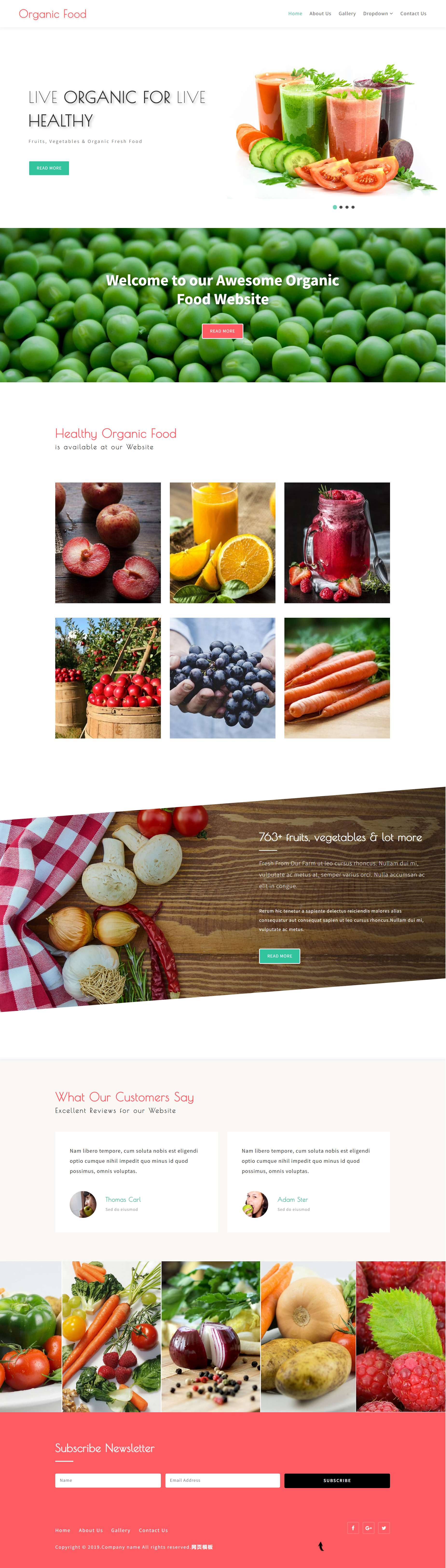 html绿色宽屏样式有机蔬菜果汁网页模板代码下载