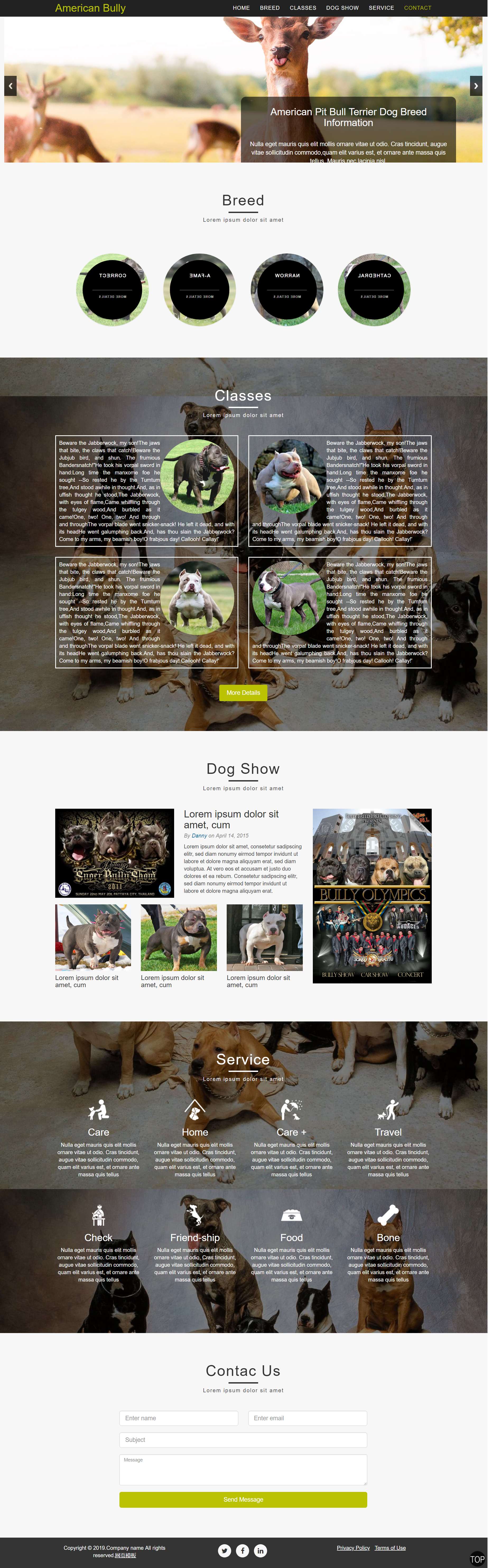 html绿色宽屏形式宠物狗乐园网页模板代码