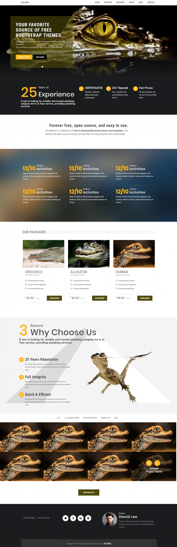黄色简洁风格响应式人工鳄鱼养殖网页模板