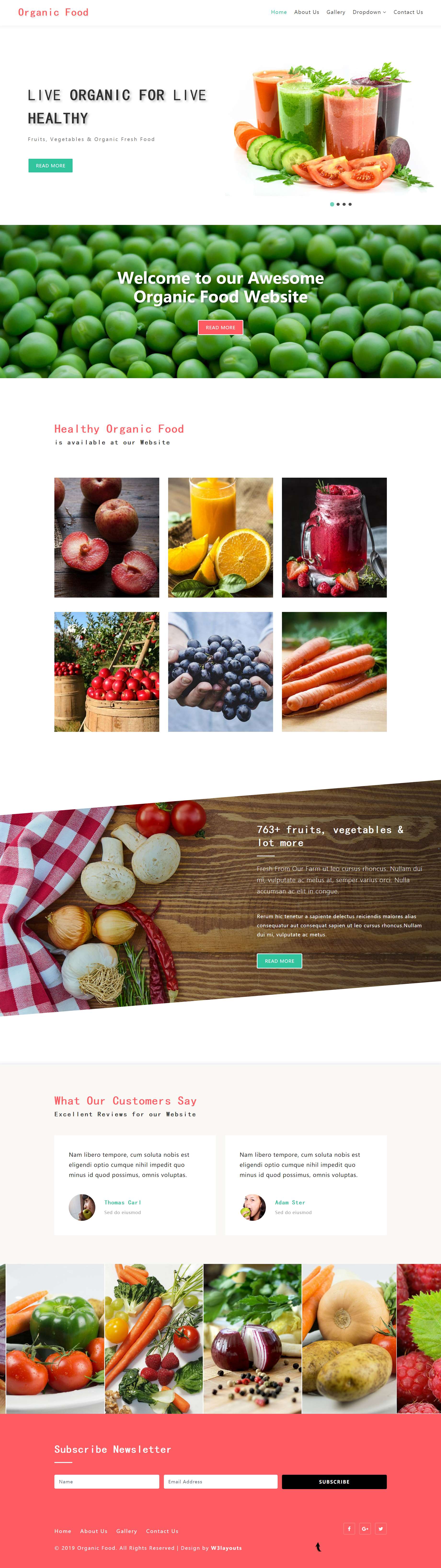 HTML绿色欧美形式有机果蔬食品网页模板代码