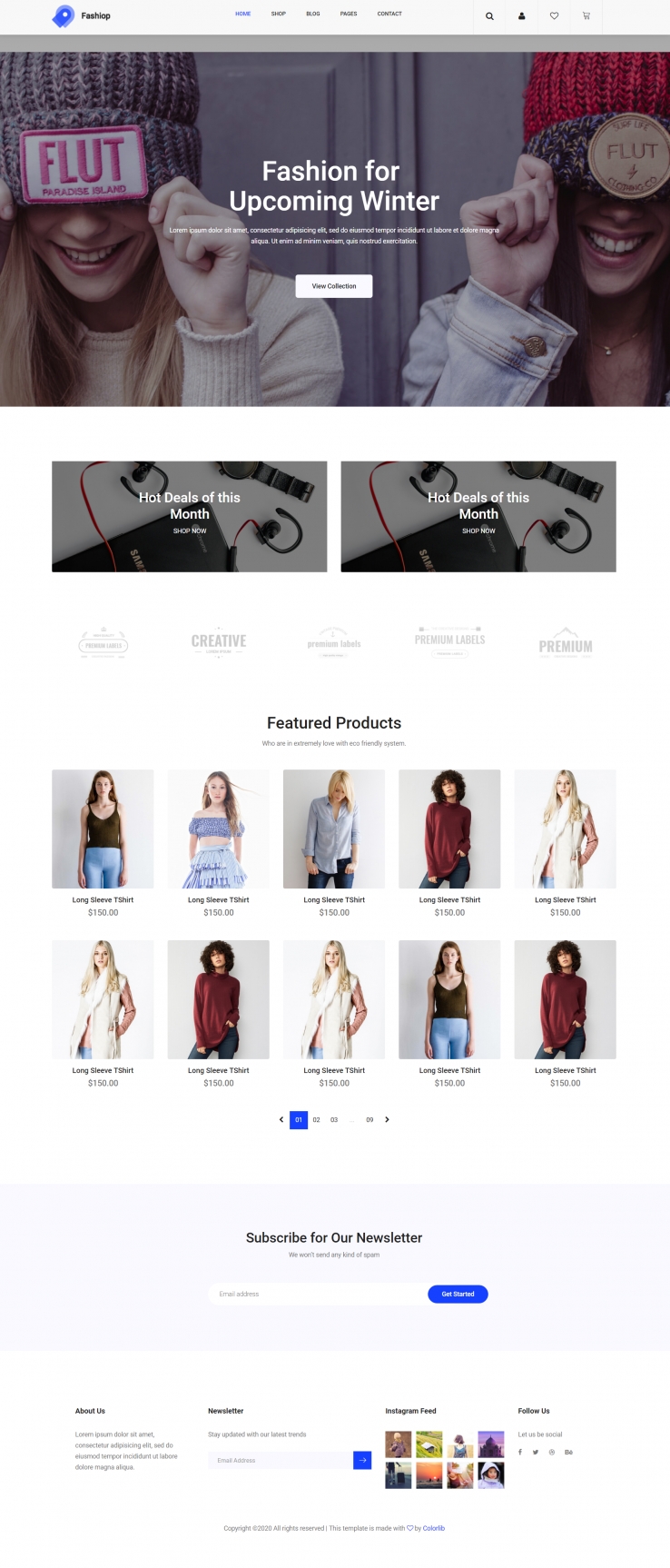 蓝色宽屏风格响应式品牌新装上市店网页模板