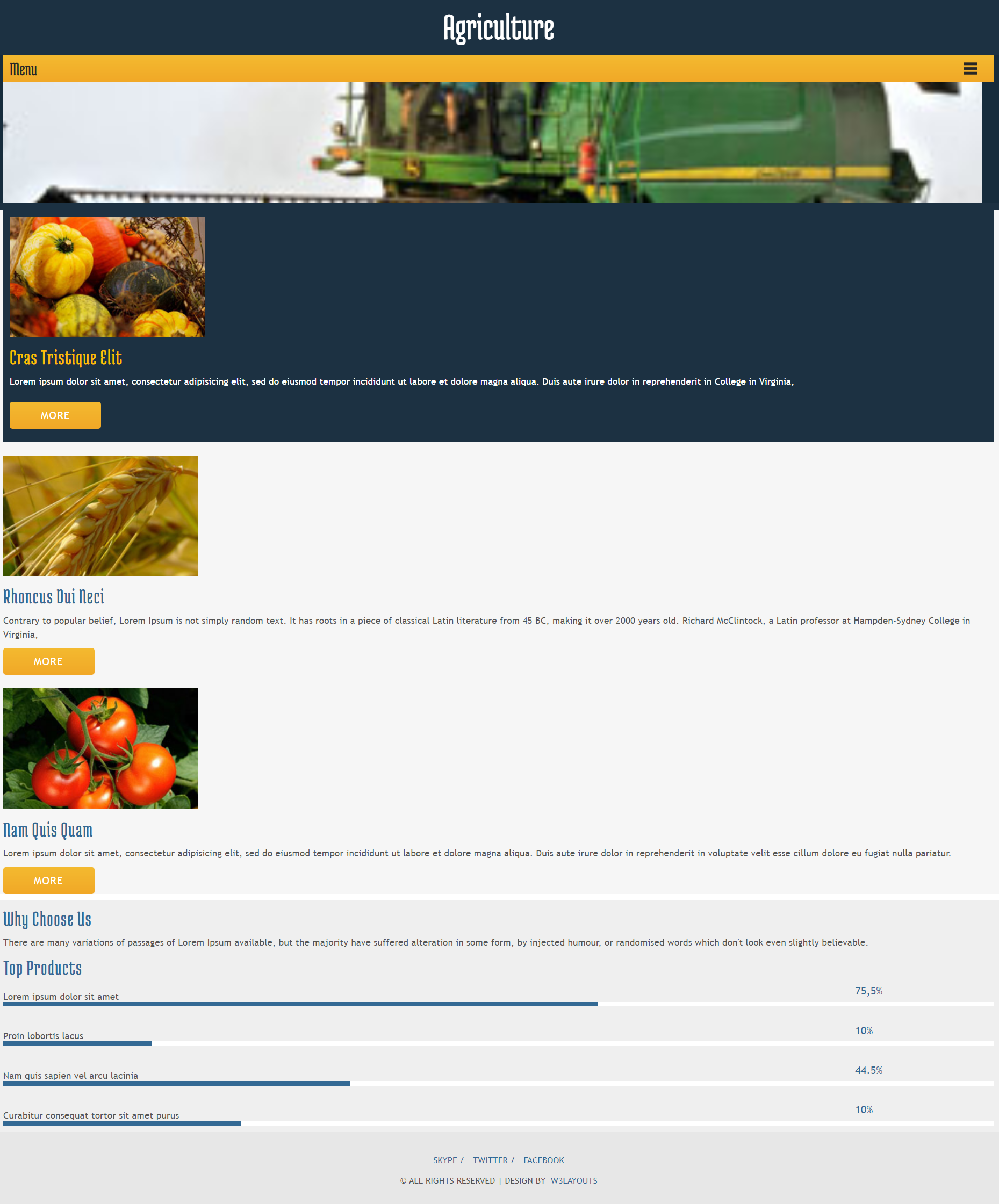 黄色大气风格响应式农产品市场网页模板