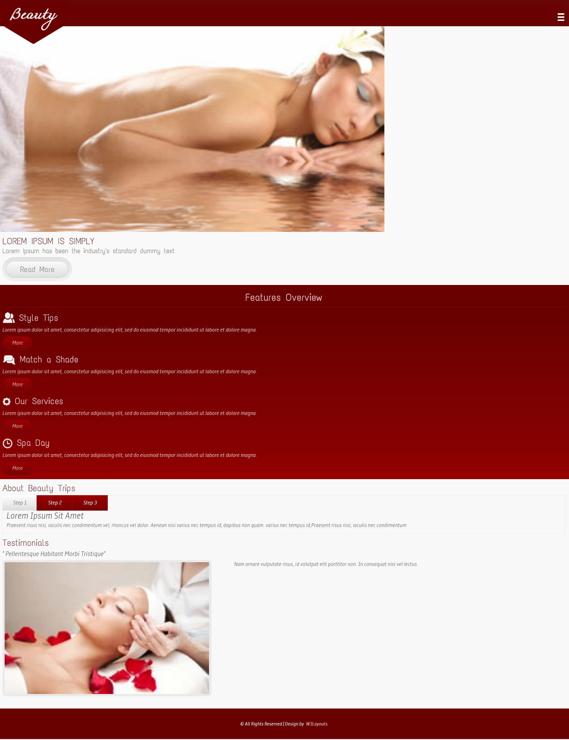 HTML红色欧美形式身体美容护理网页模板代码